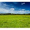 Summer meadow with blue sky, Bavaria, Germany