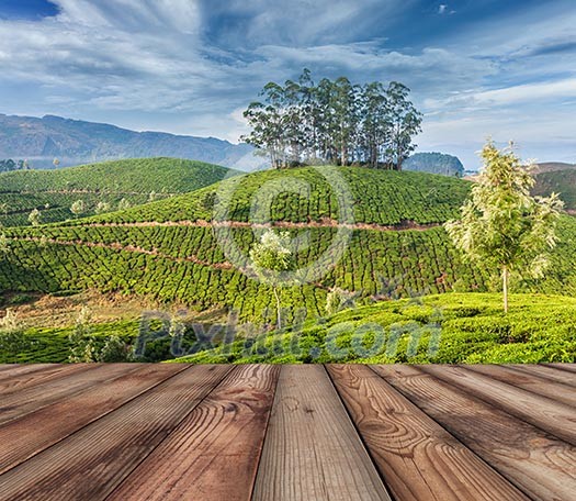 Wood planks floor with green tea plantations in background. Munnar, Kerala, India Wood planks floor with green tea plantations in background. Munnar, Kerala, India