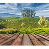 Wood planks floor with  green tea plantations in background. Munnar, Kerala, India