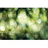 green bokeh abstract light background