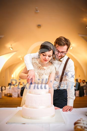 Bride and Groom at Wedding Reception Cutting the Wedding Cake Bride and Groom at Wedding Reception Cutting the Wedding Cake