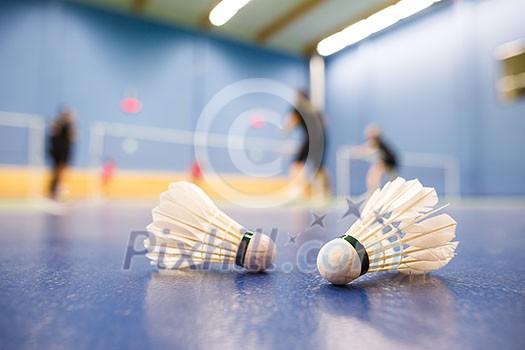Badminton - badminton courts with players competing; shuttlecocks in the foreground (shallow DOF; color toned image) Badminton - badminton courts with players competing; shuttlecocks in the foreground (shallow DOF; color toned image)