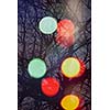 abstract tree background  with blured street  lights and double exposure