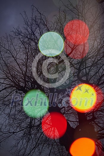 abstract tree background with blured street lights and double exposure abstract tree background with blured street lights and double exposure