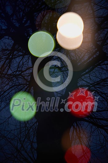 abstract tree background with blured street lights and double exposure abstract tree background with blured street lights and double exposure