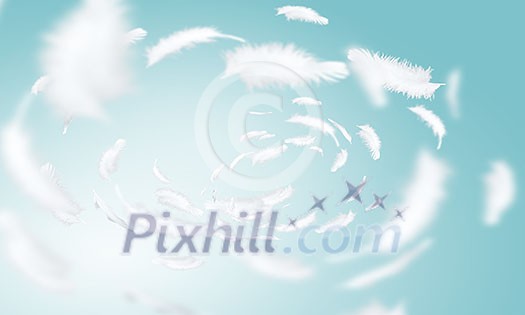 Abstract background image of feathers flying in air Abstract background image of feathers flying in air