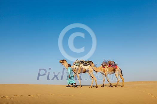 India Rajasthan travel background - Indian cameleer (camel driver) with camels in dunes of Thar desert. Jaisalmer, Rajasthan, India India Rajasthan travel background - Indian cameleer (camel driver) with camels in dunes of Thar desert. Jaisalmer, Rajasthan, India