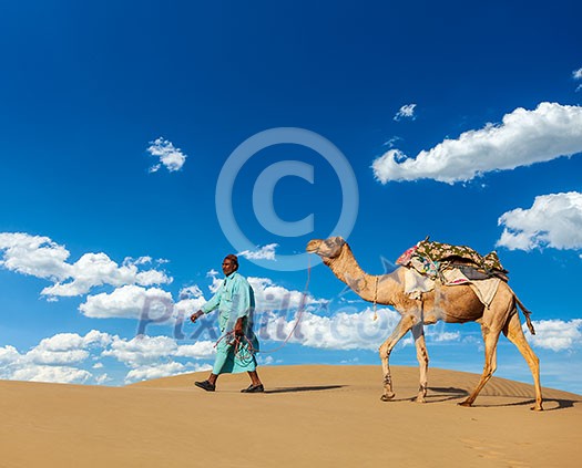 Rajasthan travel background - Indian cameleer (camel driver) with camels in dunes of Thar desert. Jaisalmer, Rajasthan, India Rajasthan travel background - Indian cameleer (camel driver) with camels in dunes of Thar desert. Jaisalmer, Rajasthan, India