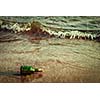 Vintage retro hipster style travel image of message bottle on beach sand in waves with grunge texture overlaid