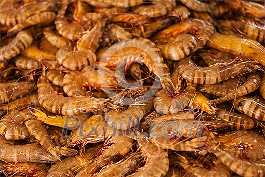Shrimps close up in market in Asia. Shallow depth of fiels, selective focus Shrimps close up in market in Asia. Shallow depth of fiels, selective focus