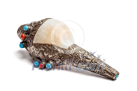 Tibetan Buddhist Conch Shell Horn Dung-Dkar isolated on white Tibetan Buddhist Conch Shell Horn Dung-Dkar isolated on white
