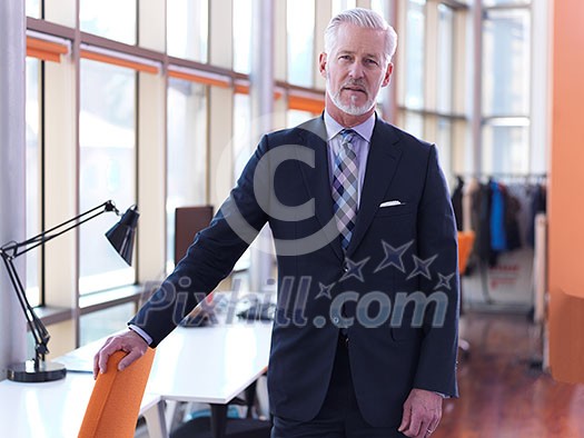 portrait of senior business man with grey beard and hair alone i modern office indoors portrait of senior business man with grey beard and hair alone i modern office indoors