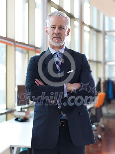 portrait of senior business man with grey beard and hair alone i modern office indoors portrait of senior business man with grey beard and hair alone i modern office indoors