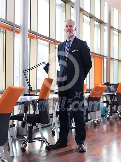portrait of senior business man with grey beard and hair alone i modern office indoors portrait of senior business man with grey beard and hair alone i modern office indoors