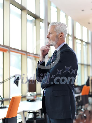 portrait of senior business man with grey beard and hair alone i modern office indoors portrait of senior business man with grey beard and hair alone i modern office indoors
