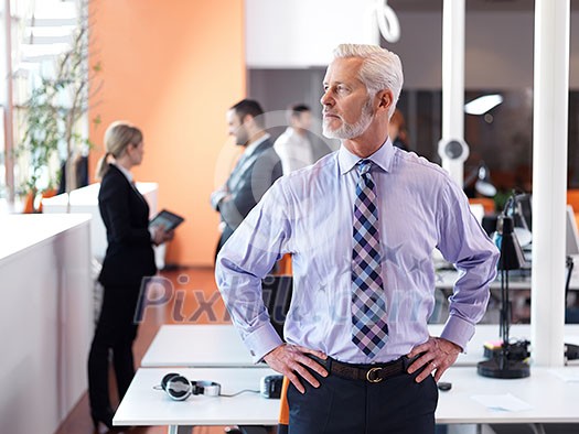 senior businessman with his team at office. business people group senior businessman with his team at office. business people group