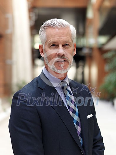 portrait of senior business man with grey beard and hair alone i modern office indoors portrait of senior business man with grey beard and hair alone i modern office indoors