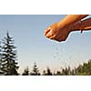 clear water falling on children hands