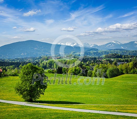Road in pastoral german countryside with Bavarian Alps in background in summer Road in pastoral german countryside with Bavarian Alps in background in summer