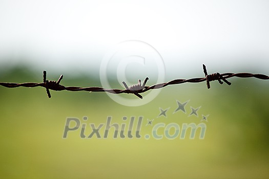 Steel barbed wire on blurred background Steel barbed wire on blurred background