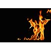 Fire flames  design isoleted on black background