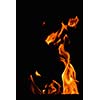 Fire flames  design isoleted on black background