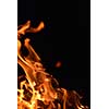 Fire flames  design isoleted on black background