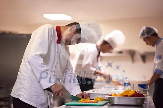 chef in hotel kitchen preparing and decorating food, delicious vegetables and meat meal dinner chef in hotel kitchen preparing and decorating food, delicious vegetables and meat meal dinner