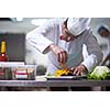 chef in hotel kitchen preparing and decorating food, delicious vegetables and meat  meal dinner