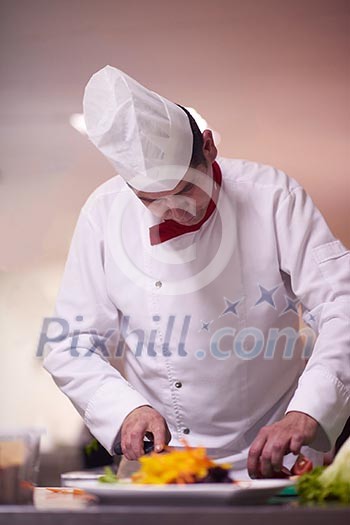 chef in hotel kitchen preparing and decorating food, delicious vegetables and meat meal dinner chef in hotel kitchen preparing and decorating food, delicious vegetables and meat meal dinner