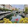 city  Ljubljana, capital of Slovenia with old bridge flower and river