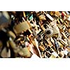 Love locks in Paris  representing secure friendship and romance