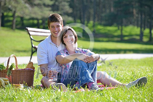 happy young romantic couple in love   having a picnic outdoor on a summer day
