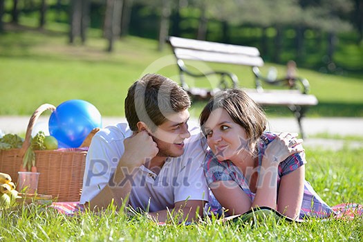 happy young romantic couple in love having a picnic outdoor on a summer day happy young romantic couple in love having a picnic outdoor on a summer day