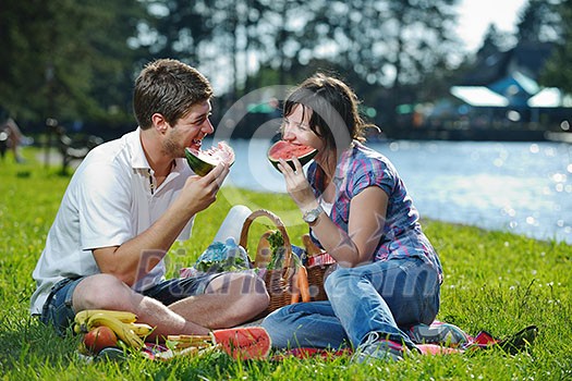 happy young romantic couple in love having a picnic outdoor on a summer day happy young romantic couple in love having a picnic outdoor on a summer day