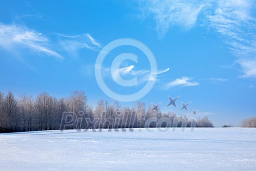 Winter landscape - forest and field covered with snow Winter landscape - forest and field covered with snow
