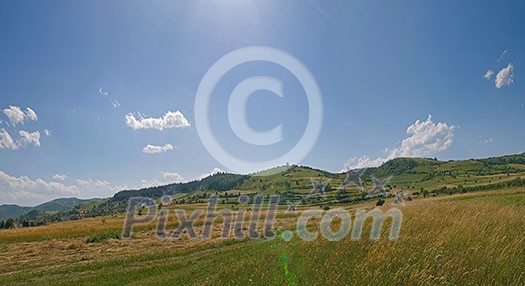 summer landscape (No shot settings) summer landscape (No shot settings)