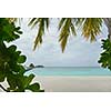 tropical beach with white sand at summer