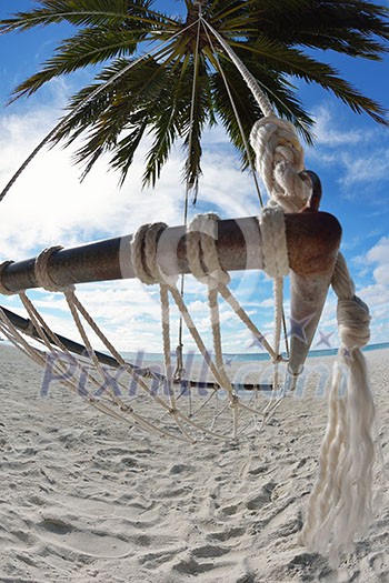 tropical beach with white sand at summer