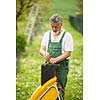 Senior man gardening in his garden (color toned image)