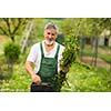 Senior man gardening in his garden (color toned image)