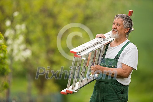 Senior man gardening in his garden (color toned image) Senior man gardening in his garden (color toned image)