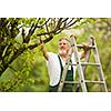 Senior man gardening in his garden (color toned image)