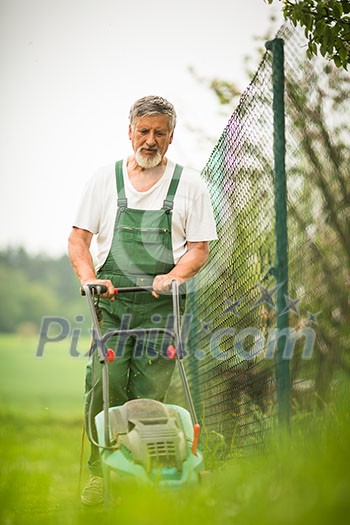 Senior man gardening in his garden (color toned image) Senior man gardening in his garden (color toned image)