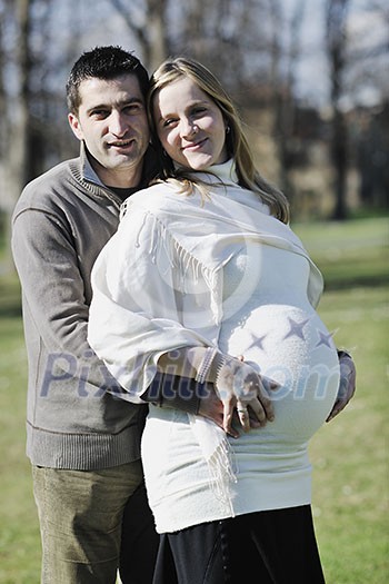 happy young married family couple outdoor in nature have fun and waiting baby and representing young family growth and pregnancy concept happy young married family couple outdoor in nature have fun and waiting baby and representing young family growth and pregnancy concept