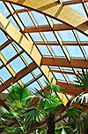 modern home roof wood roof construction with many windows blue sky and green palm leafs