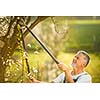 Portrait of a handsome senior man gardening in his garden, on a lovely spring day (color toned image)