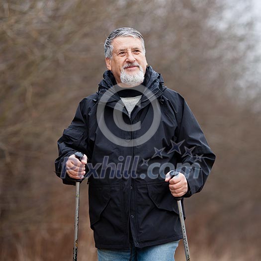 Senior man nordic walking Senior man nordic walking