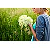 Young woman picking elderflower to make an infusion at home