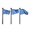 European Union flags isolated on white background